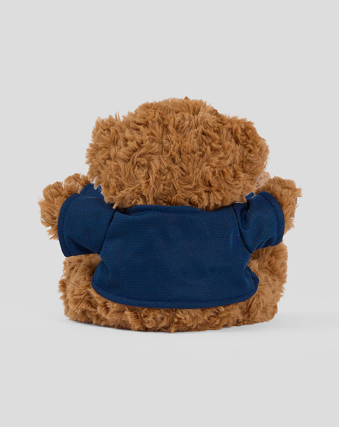 Back view of the brown teddy bear in a navy T shirt
