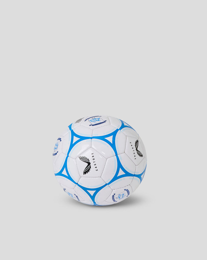 Side-angle view of Mini Size 1 football showing white panels and blue pattern with crest logos.
